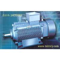 唐山冶金起重電機、變頻電機、輥道電機、渦流電機、高壓電機及低壓大功率電機。(www.tshtdj.com)